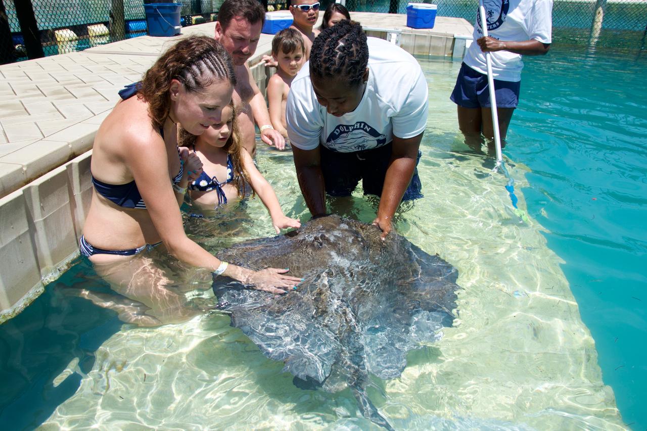Stingray Encounter And Snorkel Adventure at Blue Lagoon from Nassau