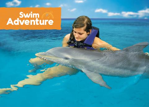Dolphin Swim Adventure Tour from Ocho Rios