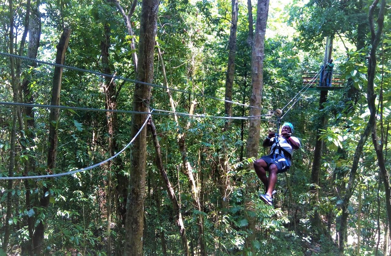 Canopy Zipline (Mystic Silver) & Dunn's River Falls Adventure Tour from Runaway Bay
