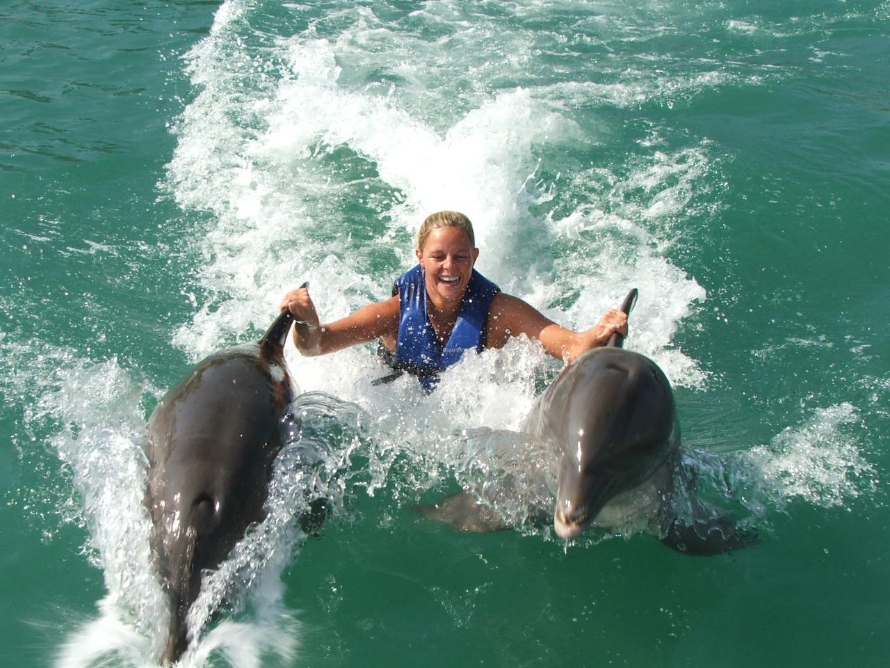 Dolphin Swim Tour At Dolphin Cove Ocho Rios From Portland