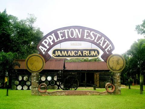 Appleton Estate Rum Tour from Kingston (Attraction Closed for Renovations)