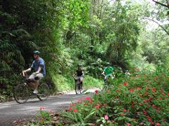 Blue Mountain Bicycle Tour from Runaway Bay