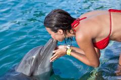 Nassau Dolphin Encounter: Blue Lagoon Connection!
