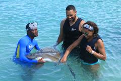 Dolphin Encounter Tour at Dolphin Cove Ocho Rios from Port Antonio