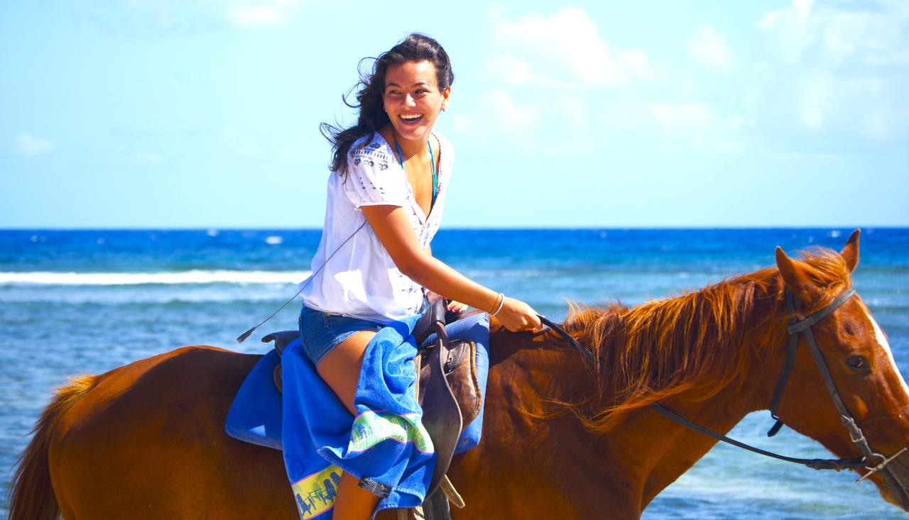 Sand n Saddle Horseback Ride & Swim Tour from Falmouth