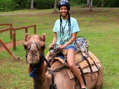Ocho Rios Outback Adventure Day Tour with Camel Ride from Ocho Rios
