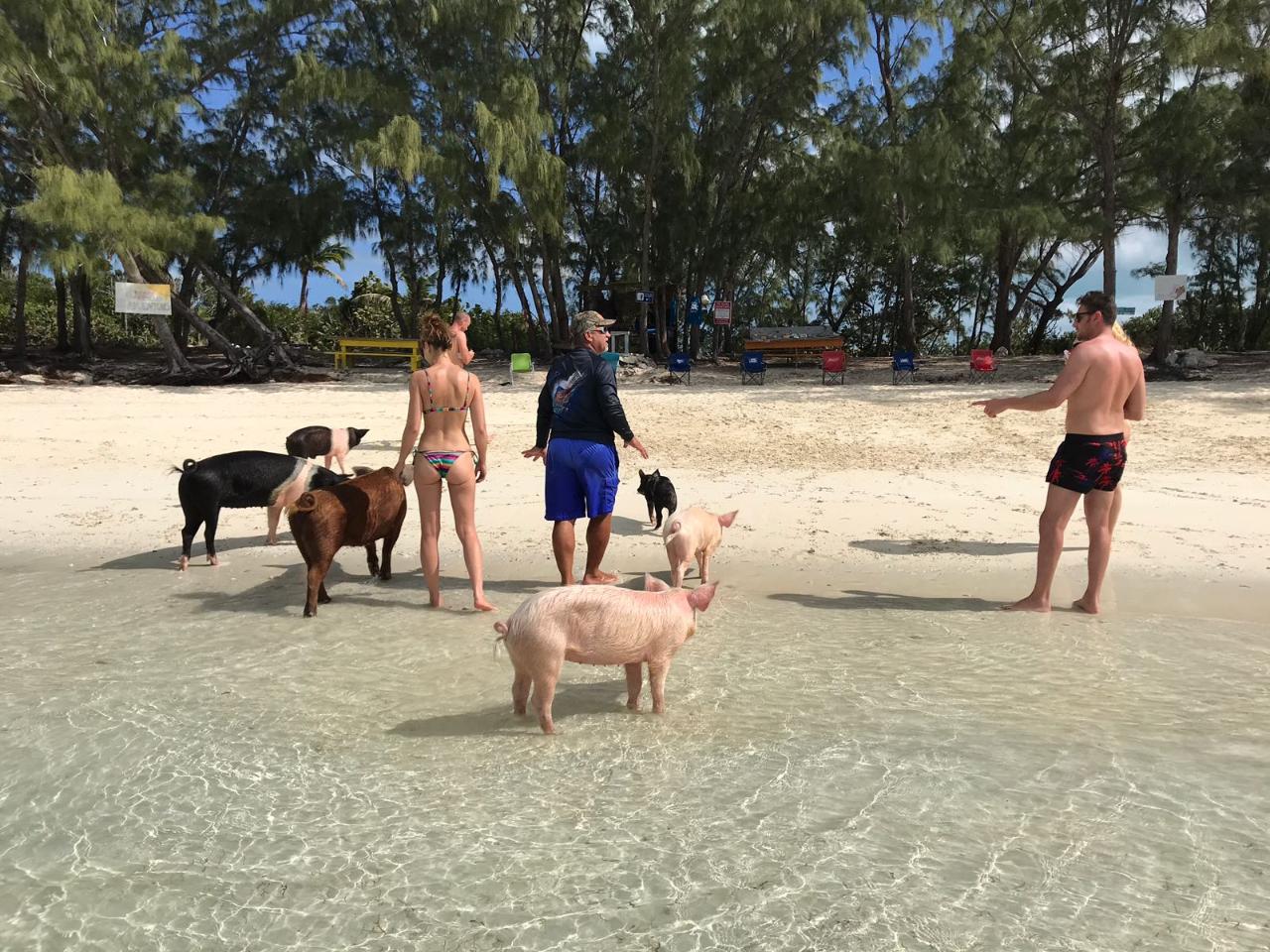 Da Salty Pig Adventure Tour from Nassau
