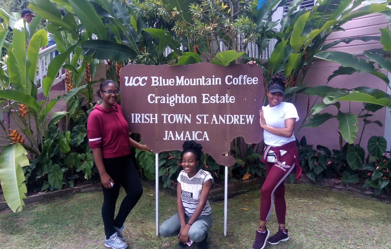 Craighton Blue Mountain Coffee Tasting & Farm Tour from Port Royal Cruise Port