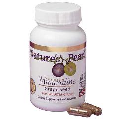Premium Muscadine Grape Seed - The Smarter Grape