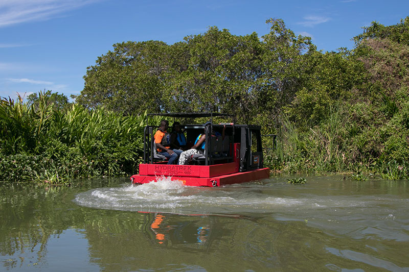 Jamaica Swamp Buggy Tour from Falmouth