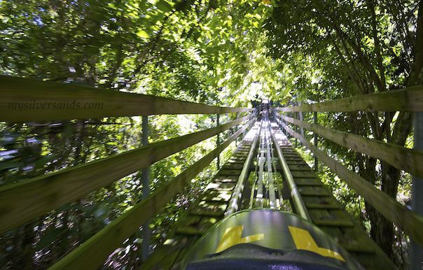 Mystic Mountain Day Tour from Kingston (Jamaicans W/ID)