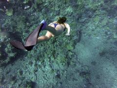 Dunn's River Glass Bottom Boat Ride and Reef Snorkeling Adventure Tour from Ocho Rios