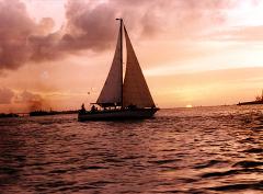 Seahorse Sailing Sunset Dinner Cruise from Nassau