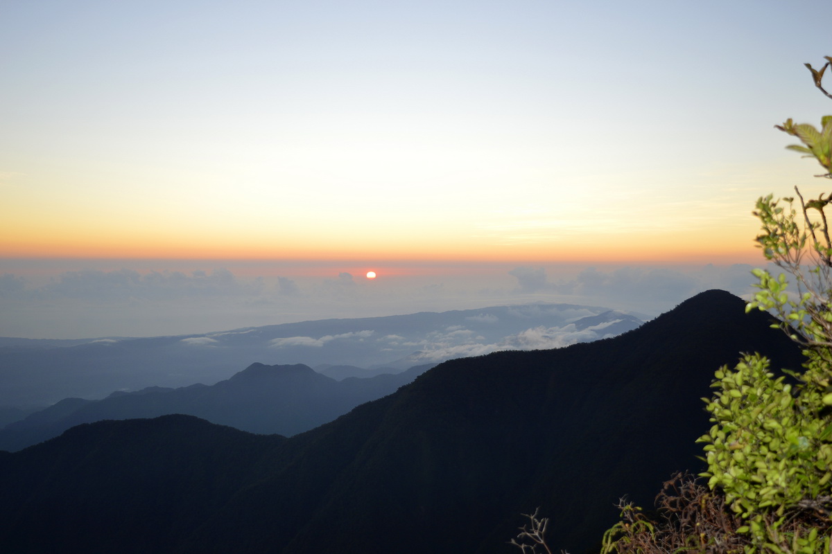 Blue Mountain Peak Hiking Tour From Kingston blue-mountain-peak-hiking-tour-from-kingston