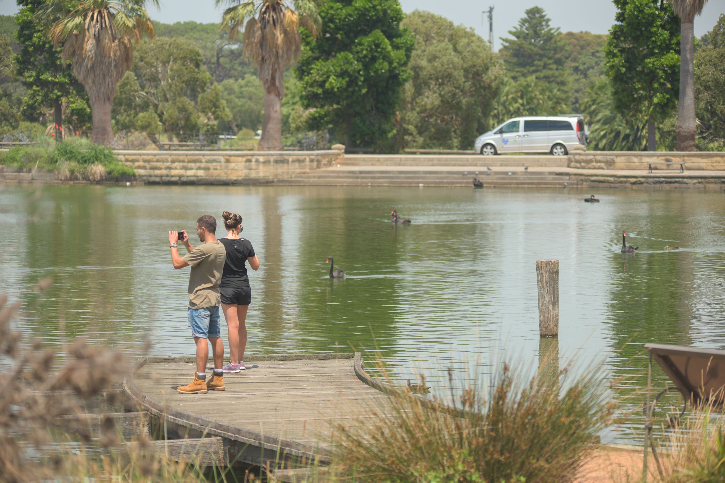 Panoramic Sydney Sights - Morning Tour