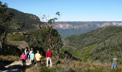 Blue Mountains 2 Day/1 Night Experience  Touring Only Package