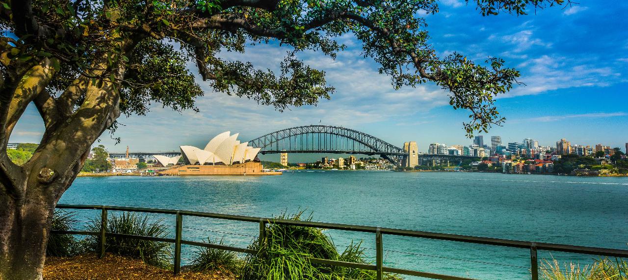 Morning Sydney Sights and Harbour Lunch Cruise