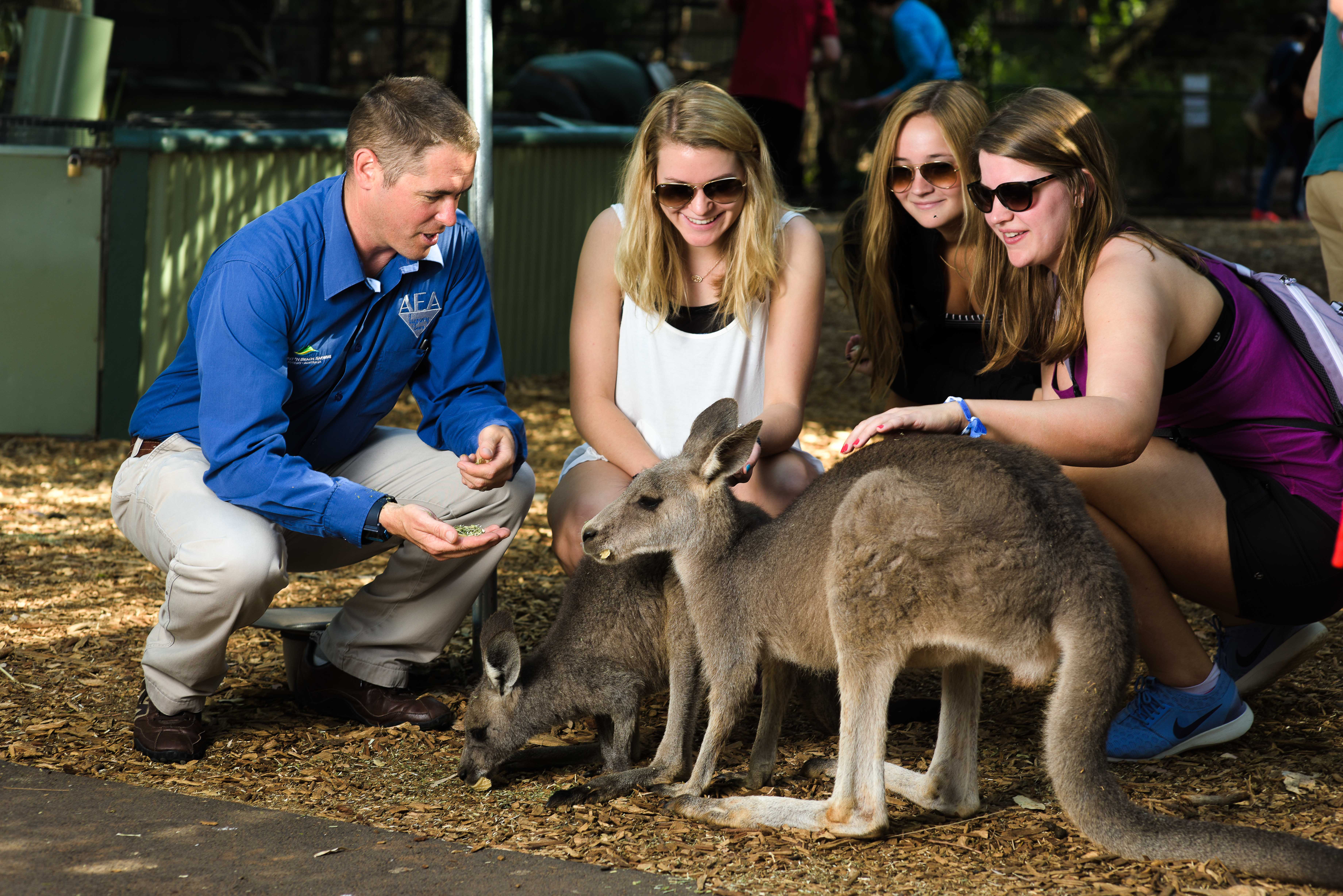 Blue Mountains & Hunter Valley 3 Day/2 Night Experience  Touring Only Package