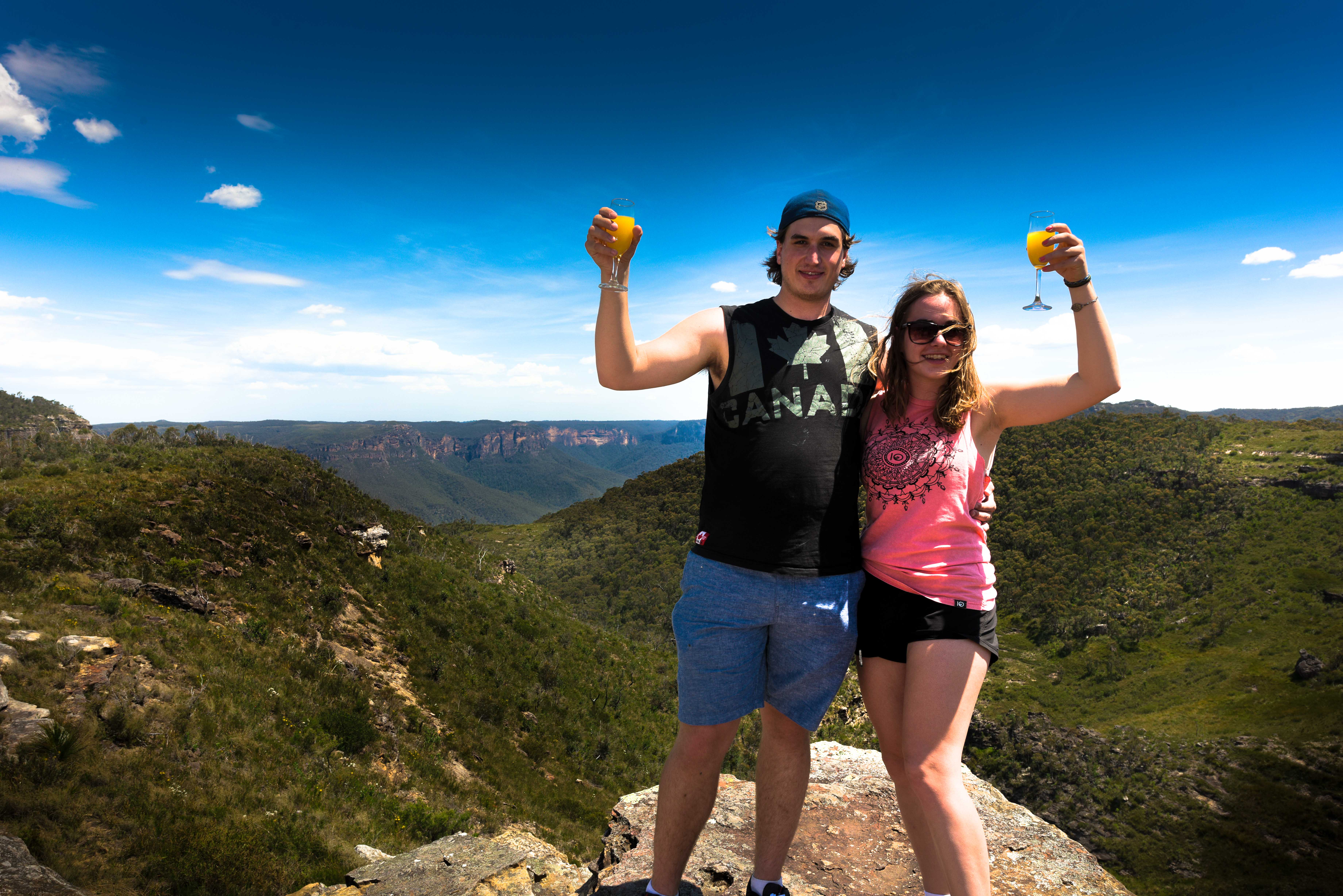 Blue Mountains Private Charter 1 Day tour