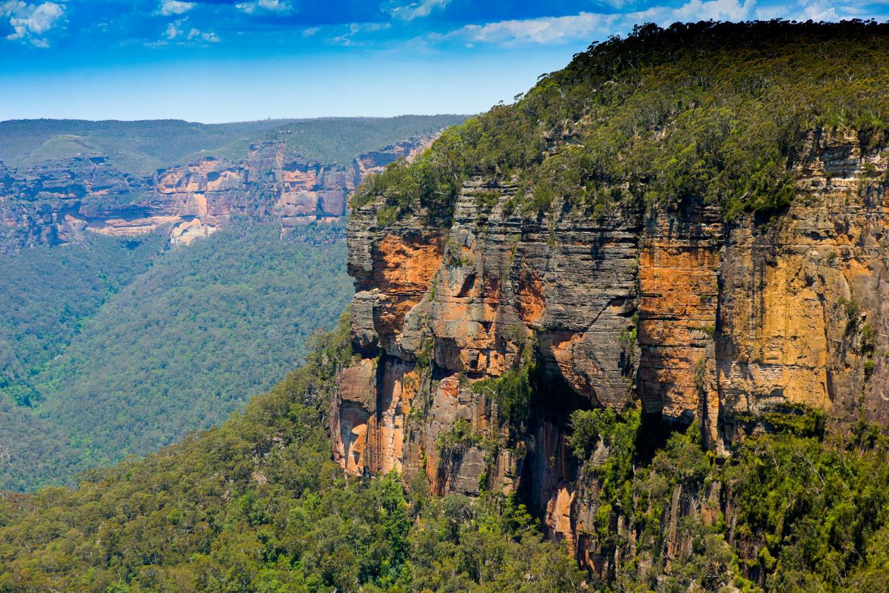  Blue Mountains Private Charter 1 Day tour