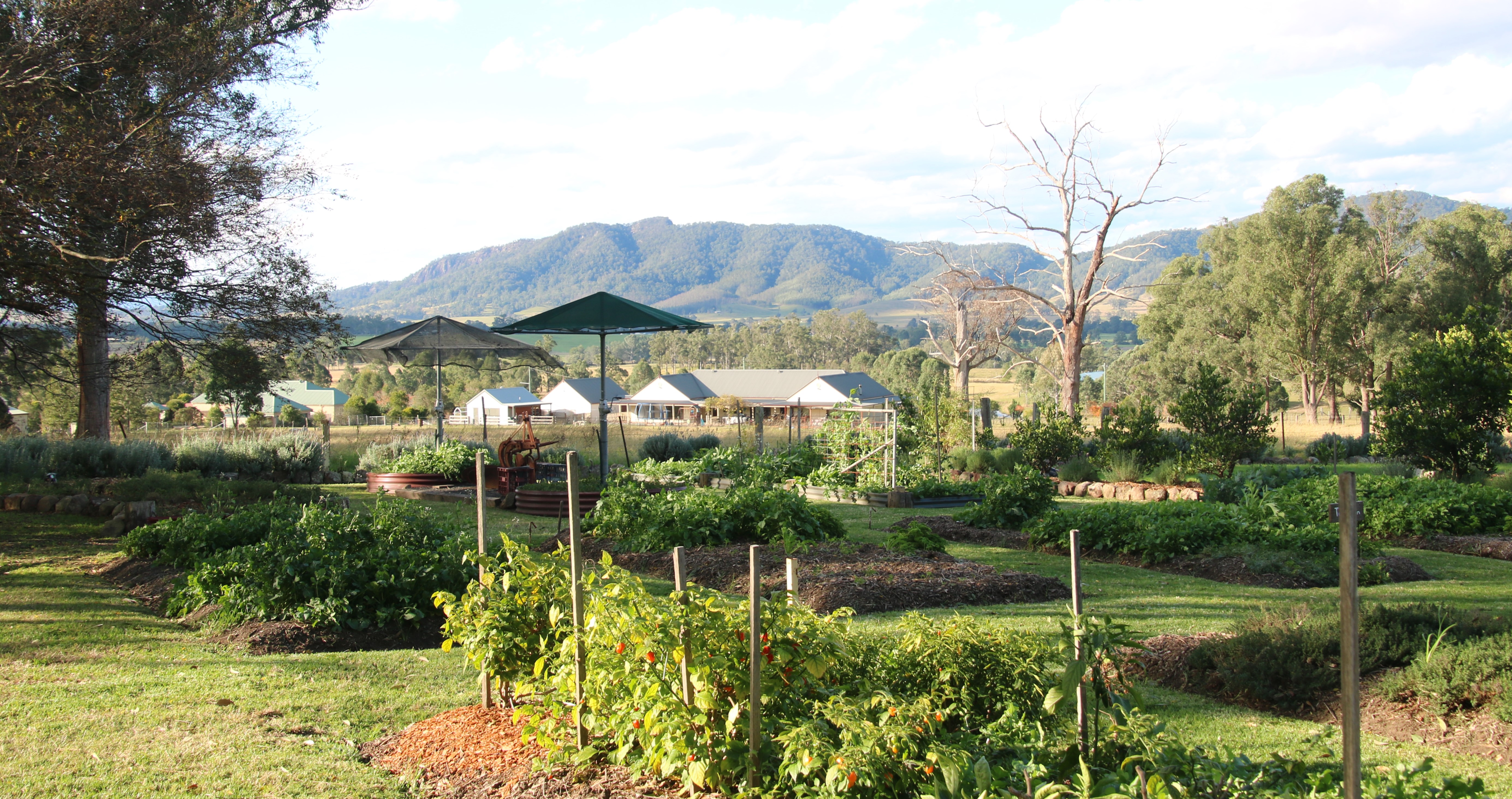 Barrington Tops Weekend: Small-Group Tour & Aussie Ark