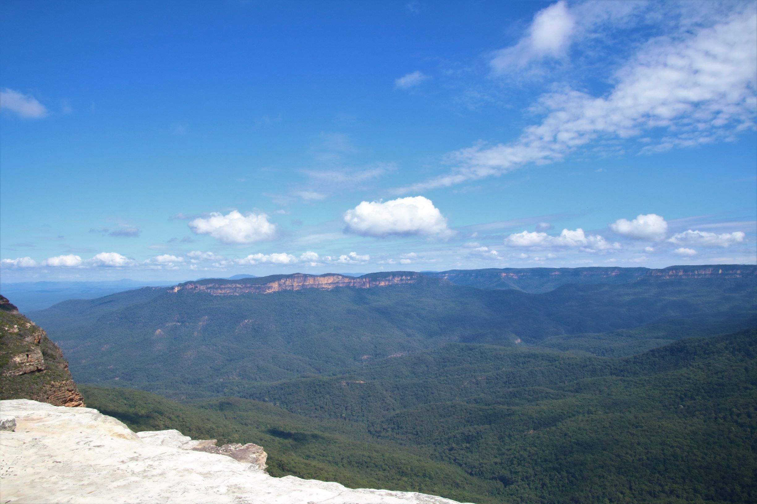 Blue Mountains Private Charter 1 Day tour