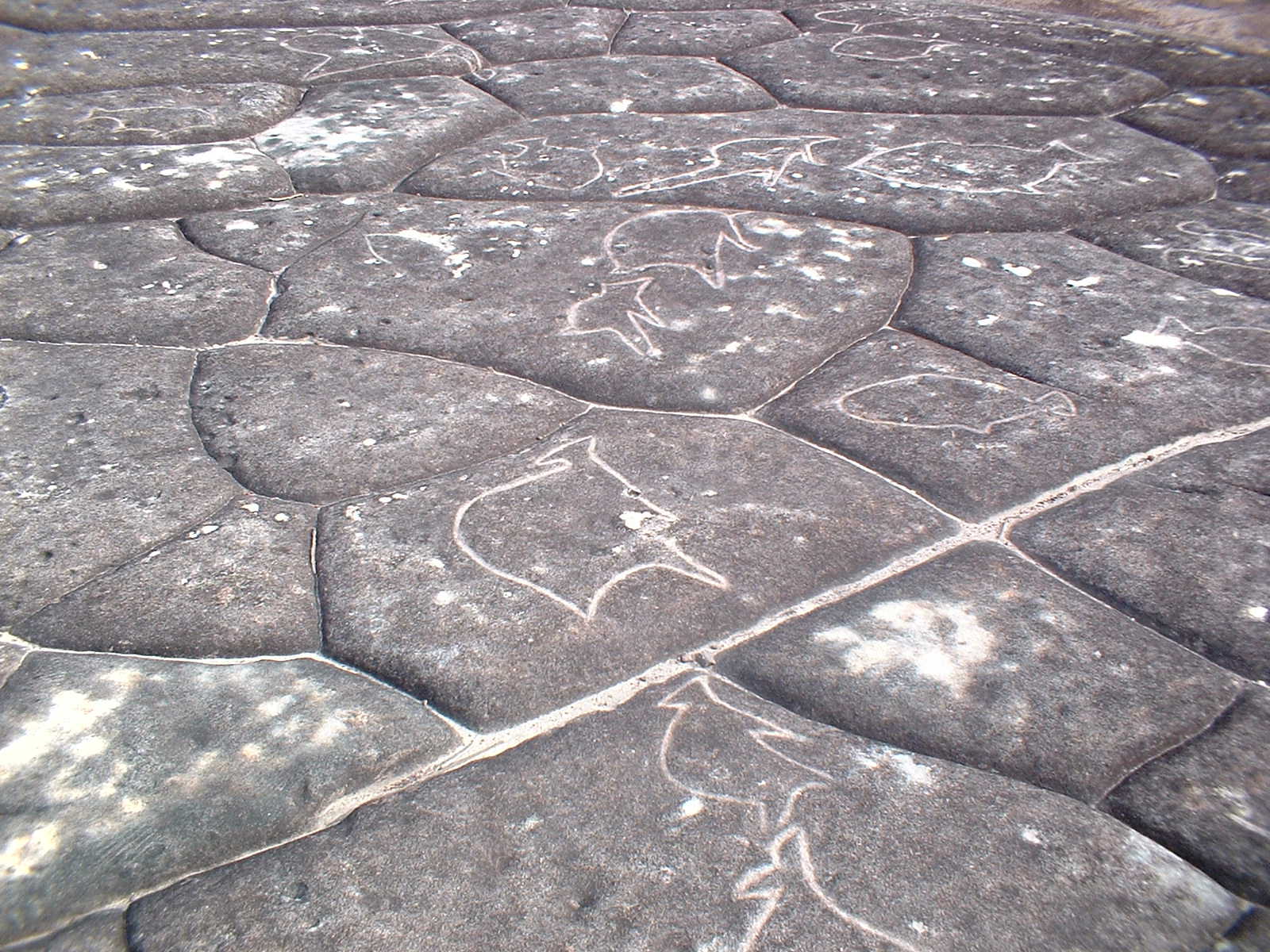 Sydney's Local Northern Natural Wonders & Secrets Diamond Day