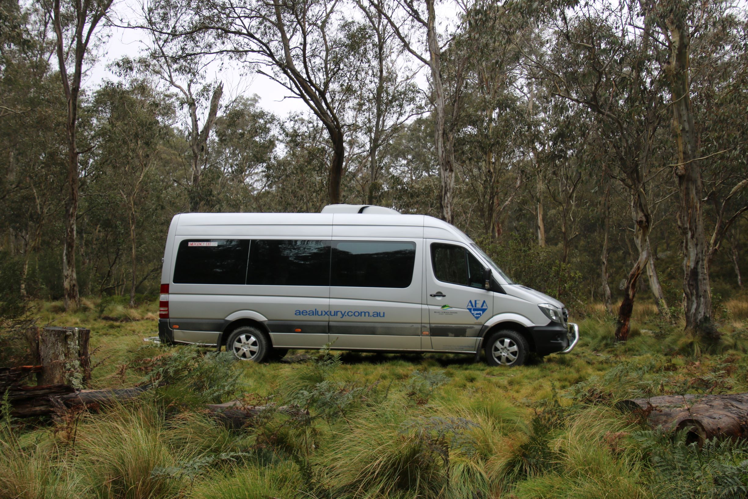 Barrington Tops Weekend: Small-Group Tour & Aussie Ark