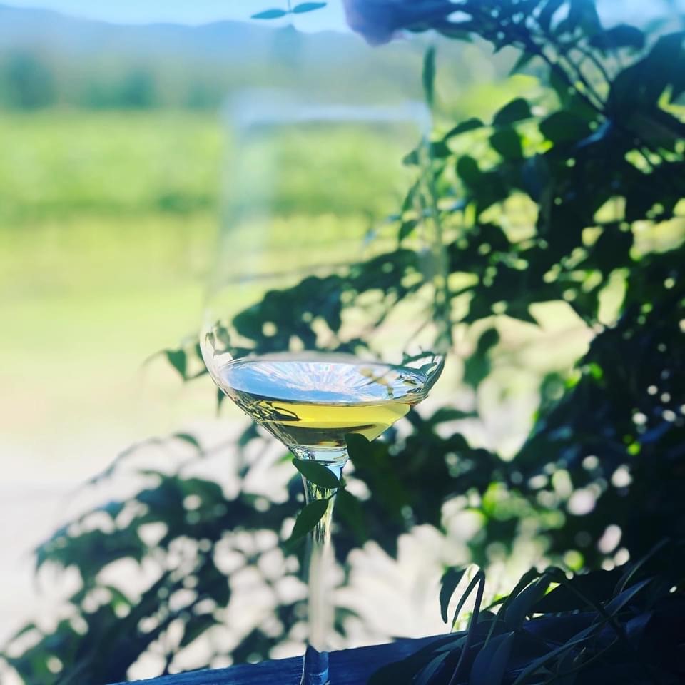 Small-Group Wine Tasting Tour in the Hunter Valley