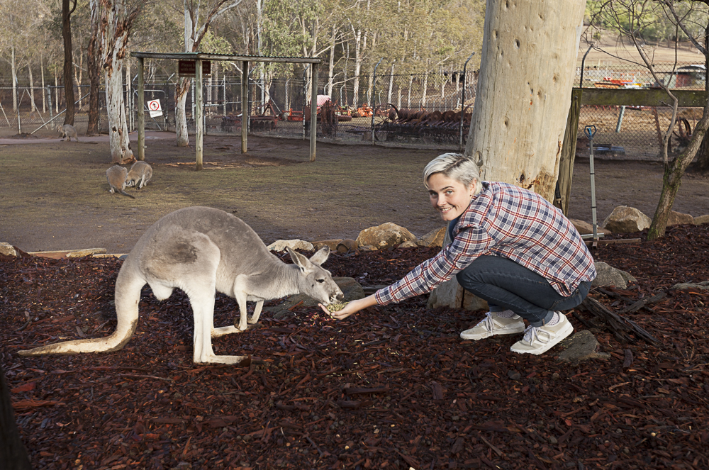 Blue Mountains Private Charter 1 Day tour