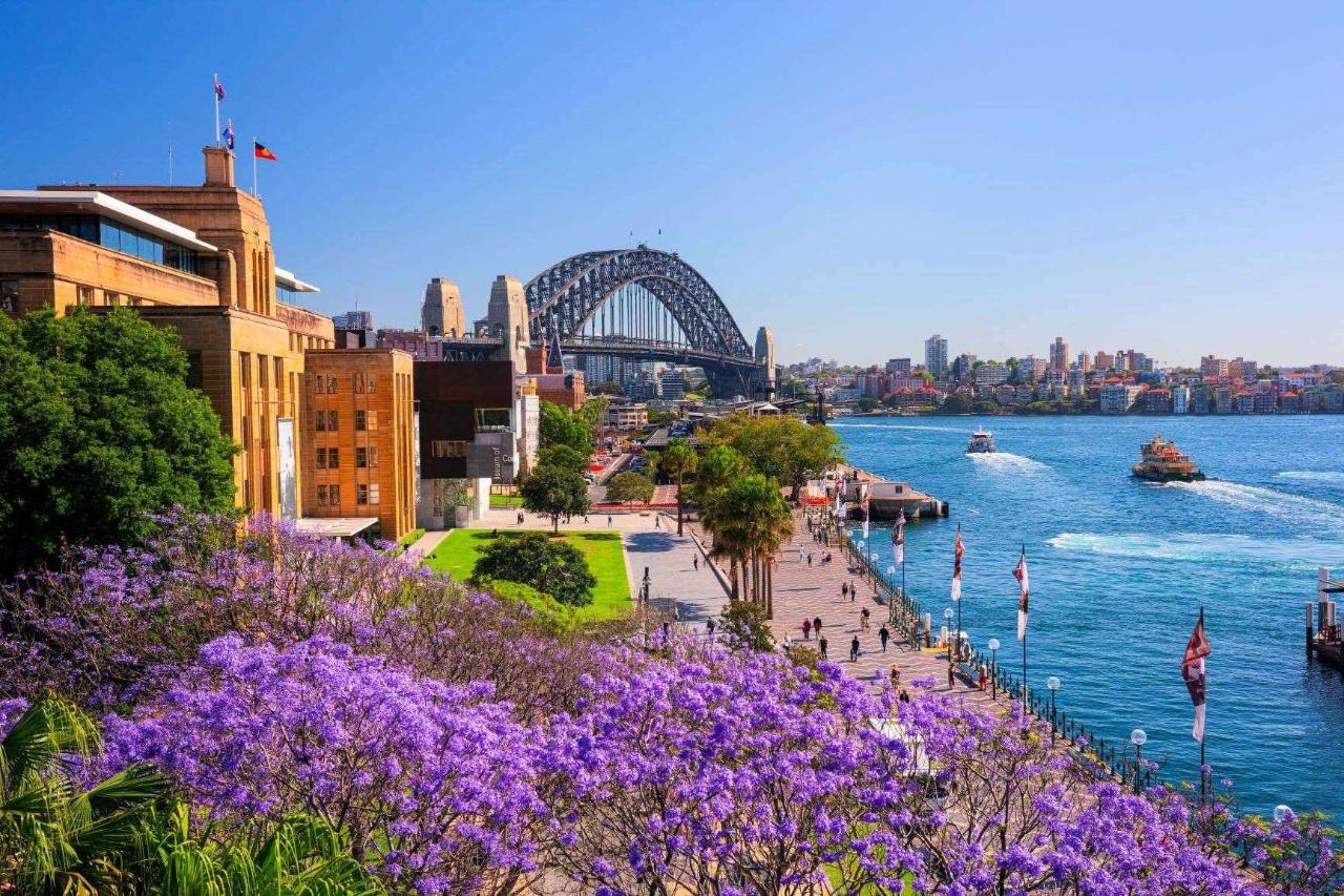 Iconic Sydney Eastern Suburbs & Beaches Private Charter