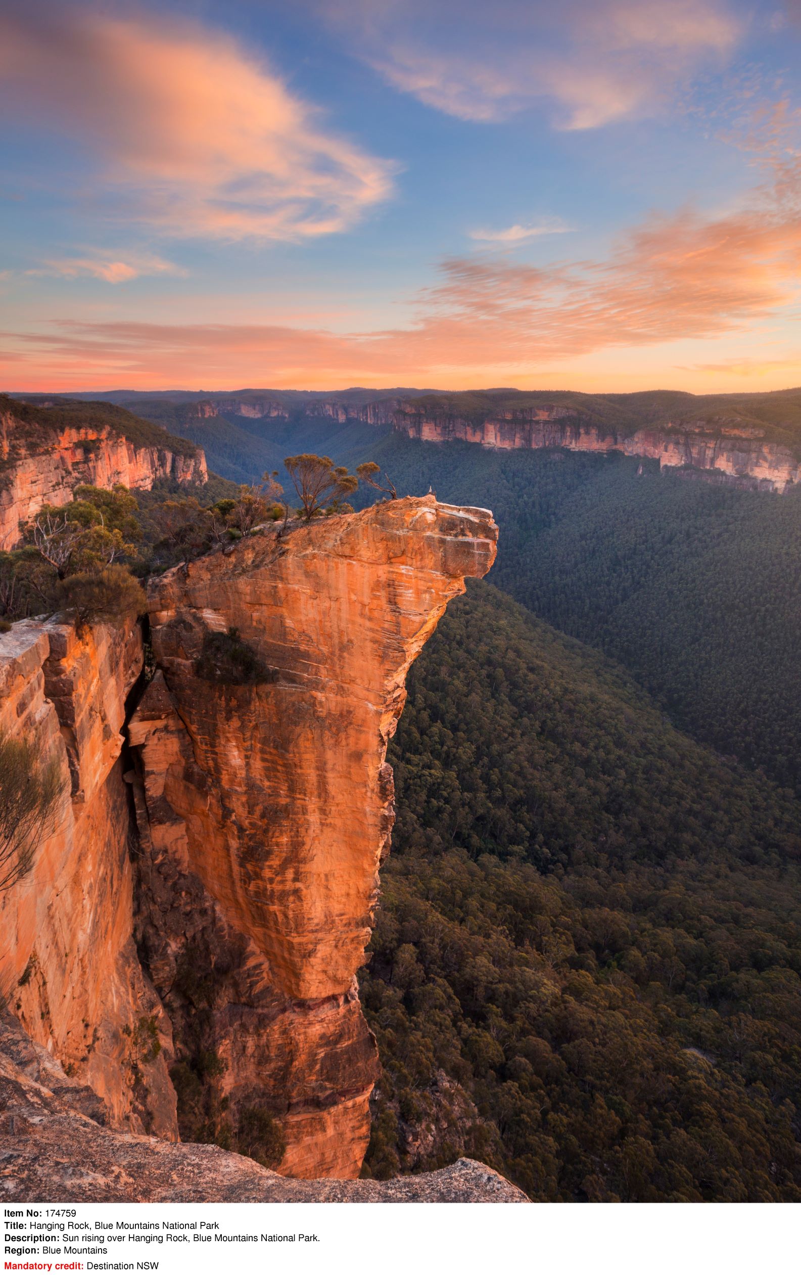 Twilight in Blue Mountains Private Charter 1 Day tour