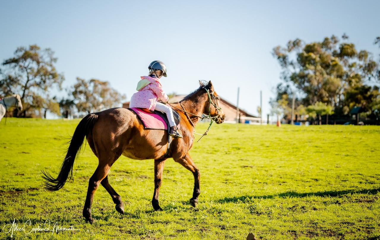 Horseriding Perth Western Australia