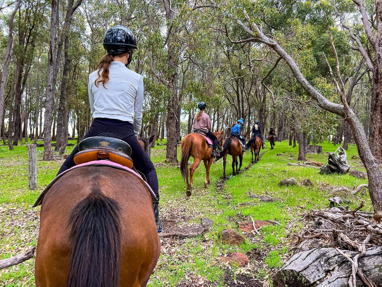 2hr Exclusive Adventure Horse Ride-Out
