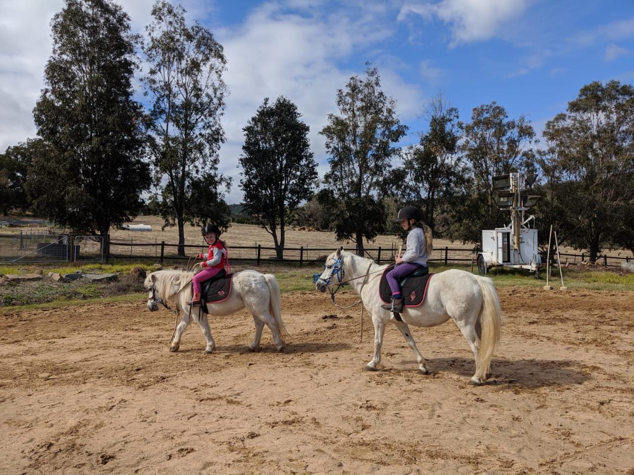 horseHorses, Horseriding, Perth, Western Australia, Fun, Family, Scenic ...