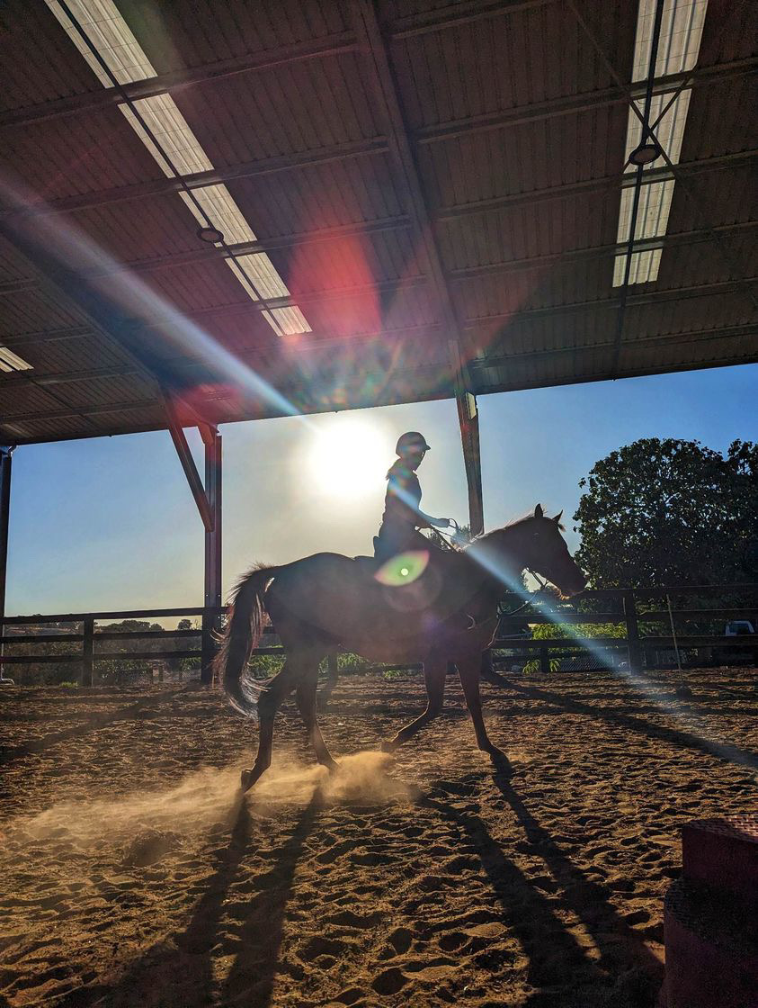 Private Horse Riding Lesson (1 hour)