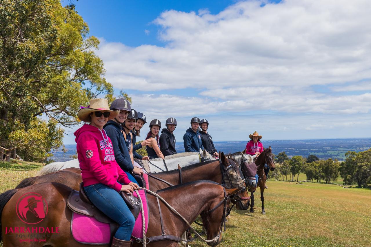 horse ride ons