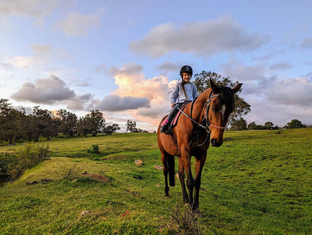 Private Horse Riding Lesson (1 hour)