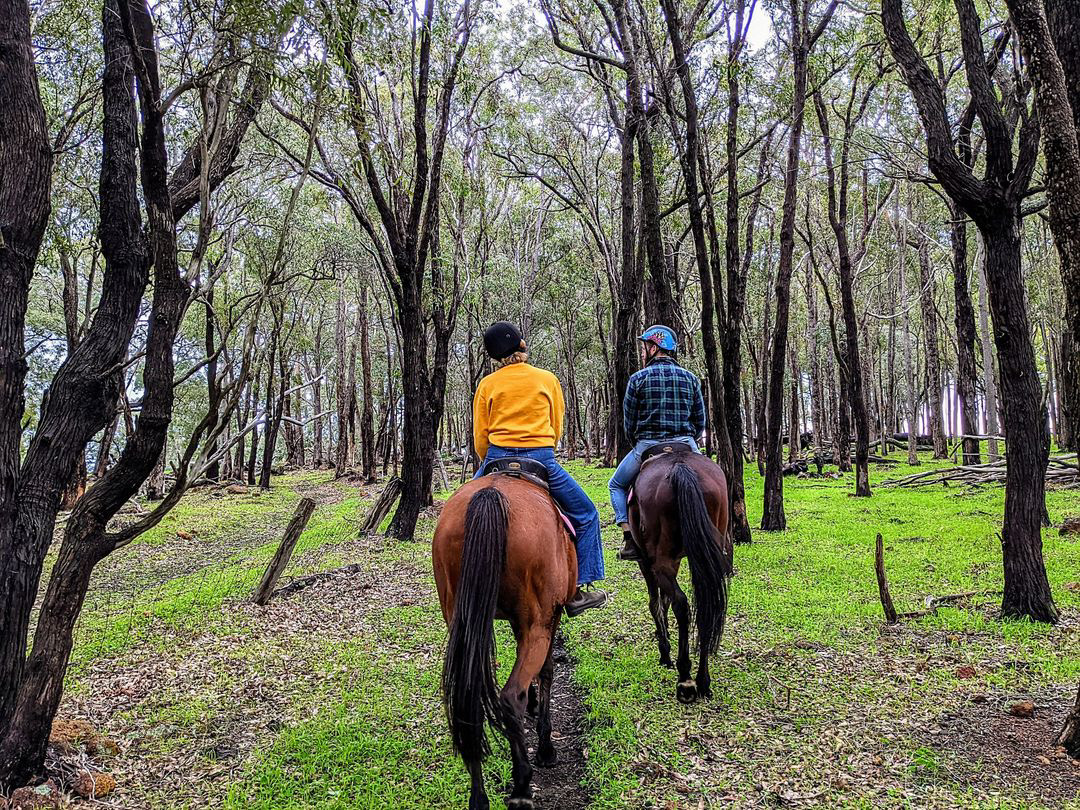 Weekend - 1.5hr Exclusive Adventure Horse Ride-Out - 2 riders