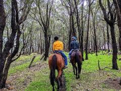 Weekend - 1.5hr Exclusive Adventure Horse Ride-Out - 2 riders