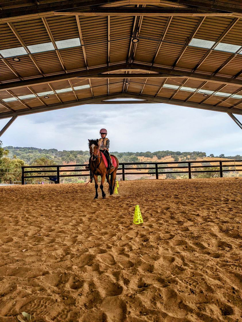 Private Horse Riding Lesson (1 hour)