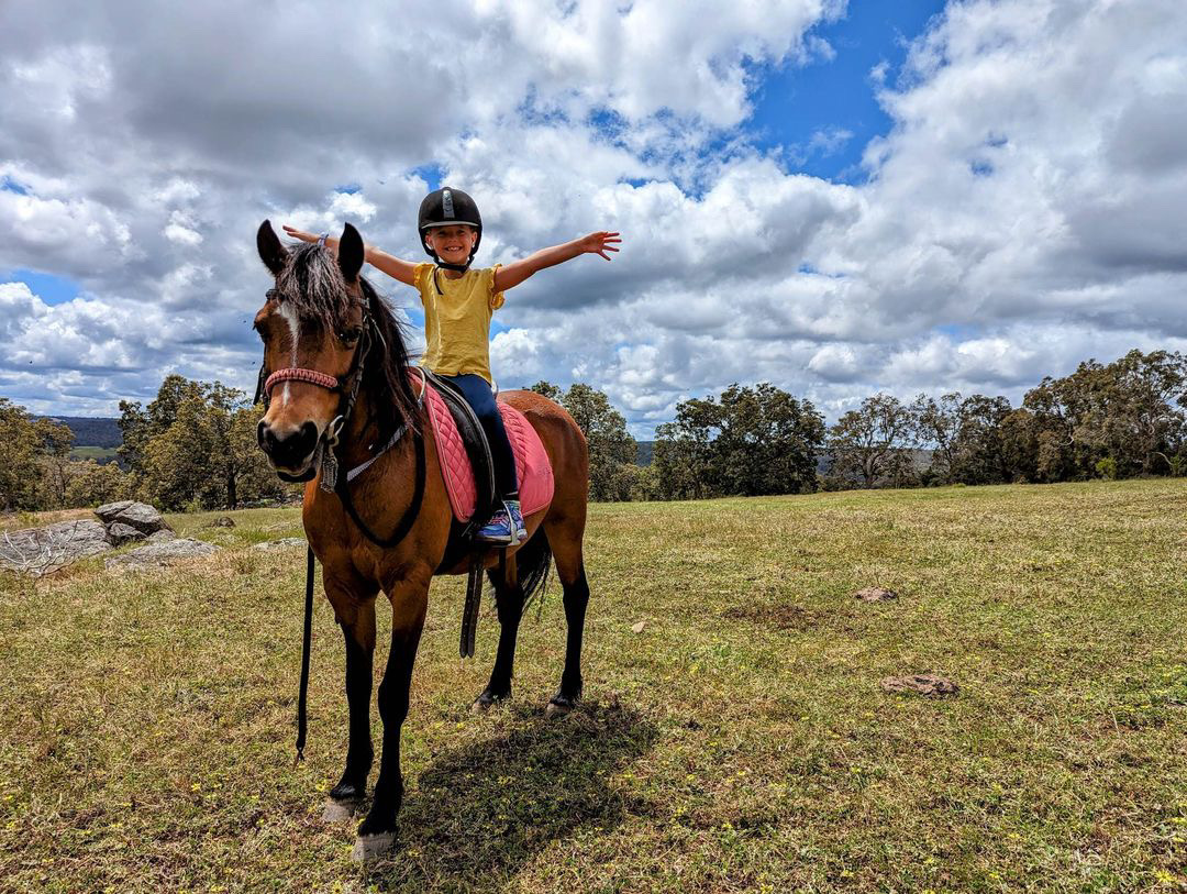 Private Horse Riding Lesson (1 hour)