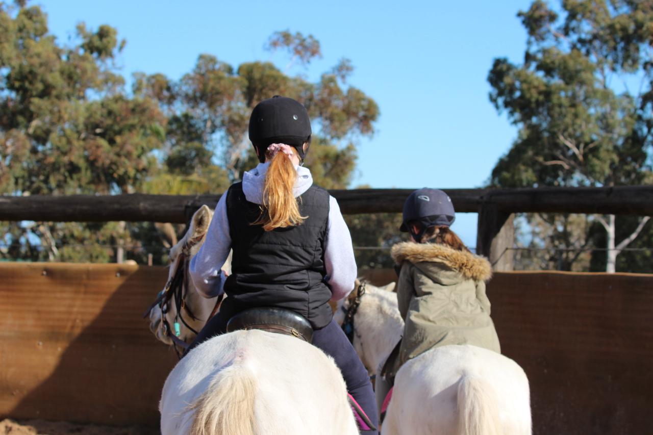 z Sunday  Exclusive 1hr Group Horse Riding Lesson (2-4 Riders)