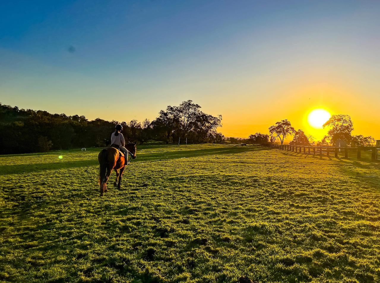 Horseriding Perth Western Australia