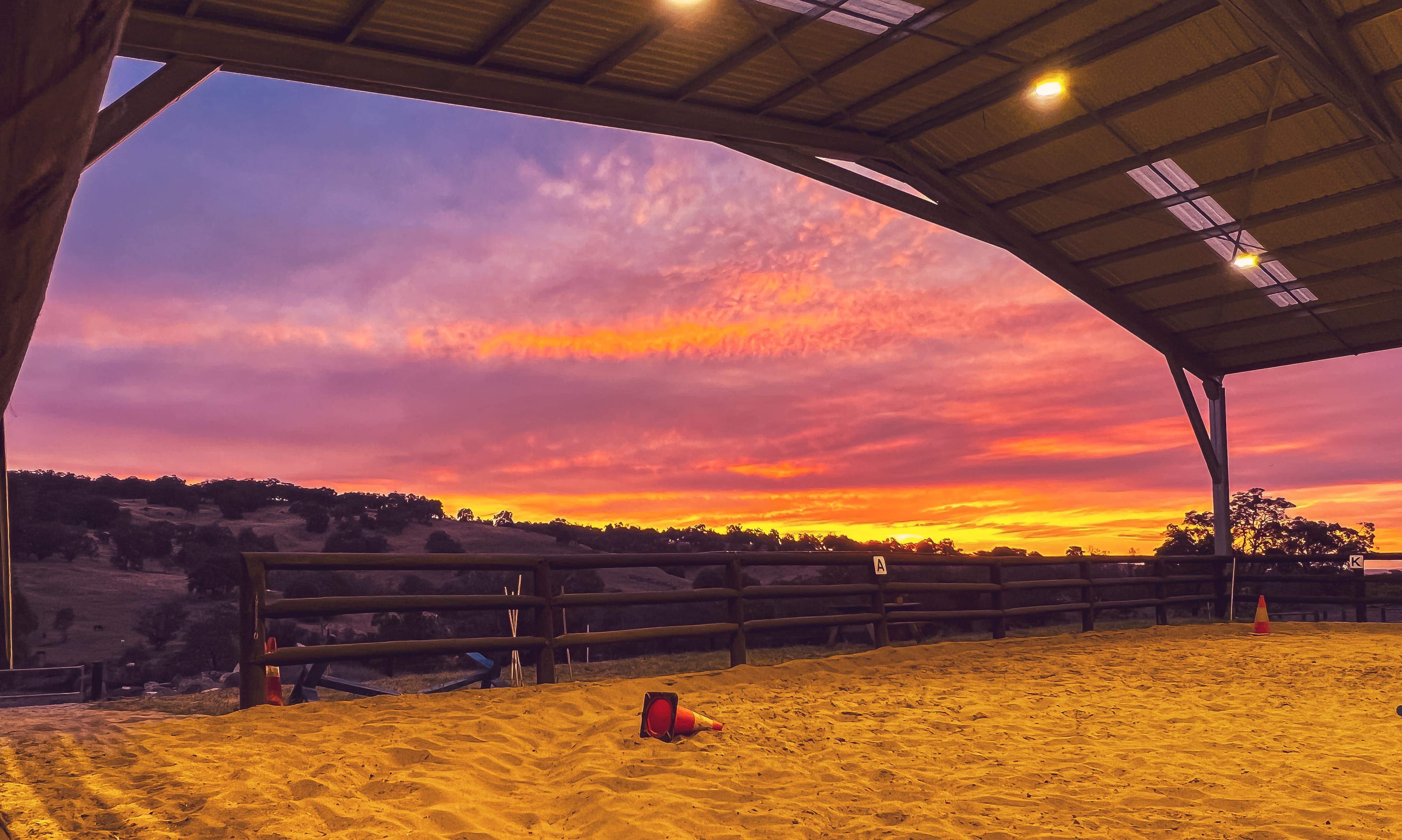 Private Horse Riding Lesson (1 hour)