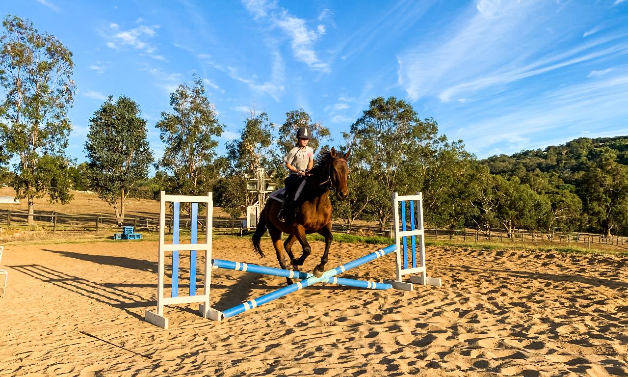 Gallop Club Group Horse Riding Lesson (1 hour) 