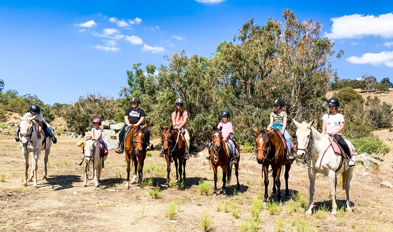 How Australia’s Bushfires Shape the Landscape