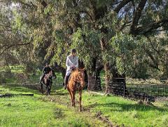 Weekend - 1hr Exclusive Adventure Horse Ride-Out - 2 riders   