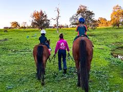 Weekend - Exclusive Group Horse Riding Lesson (1 hour) - 2 riders 