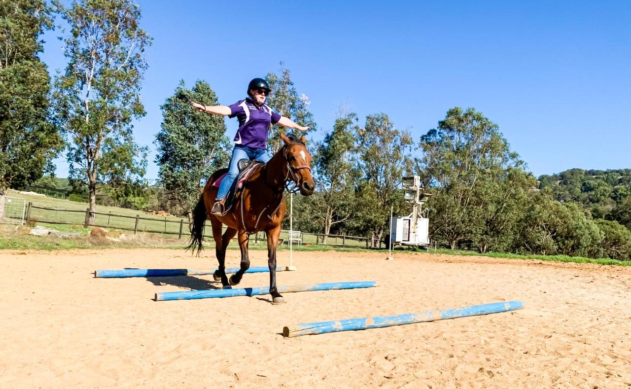 Canter Club Group Horse Riding Lesson (1 hour) 